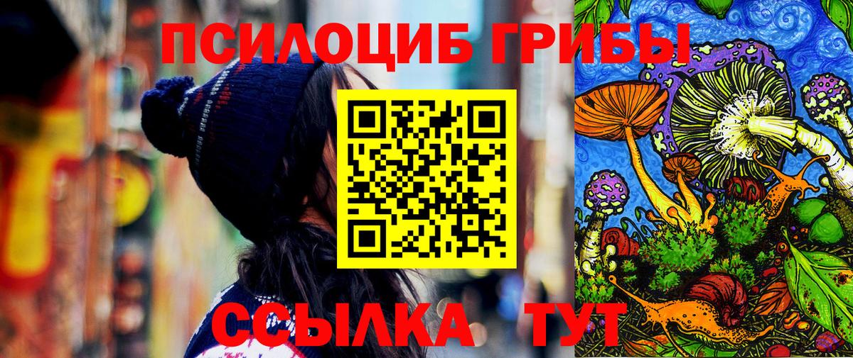 где купить наркотик  Псилоцибиновые грибы Psilocybine cubensis  Вход с VPN  Псилоцибиновые грибы мухоморы  Белгород 